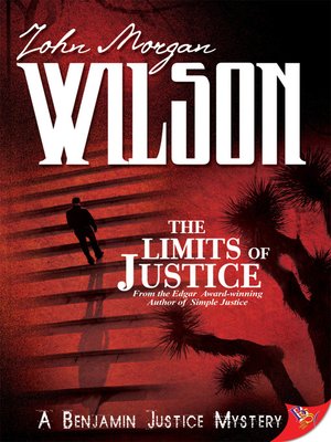 The Limits of Justice - ebook